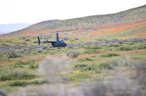A visitor took this photo of the helicopter landing in the middle of the poppy fields. It was shared on the Antelope Valley California Poppy Reserve Facebook page on March 26, 2019.