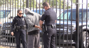 An Anaheim police Traffic Control Assistant suffered critical injuries when her truck was rear-ended by an alleged drugged driver on March 9, 2019. (Credit: OC Hawk)