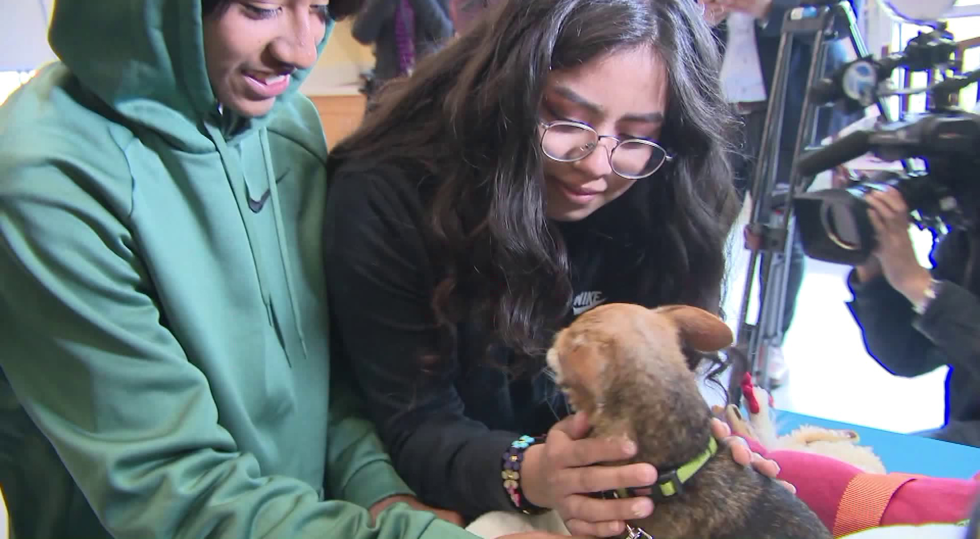 Max the dog is reunited with his family on March 5, 2019 after allegedly being abused by a homeless man. (Credit: KTLA)
