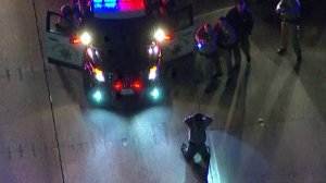 A kidnapping suspect is seen being taken into custody along the 405 Freeway in Irvine following a chase that started in Palmdale. (Credit: KTLA)