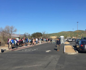 Crowds line up to visit poppy fields in Lake Elsinore on March 17, 2019. (Credit: City of Lake Elsinore/ Instagram)