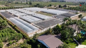 Police seized 40,000 marijuana plants, valued at $20 million, from an illegal farm in Riverside on April 18 and 19, 2019. (Credit: LoudLabs IE)
