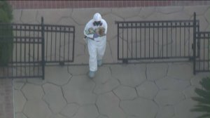 Officials donned hazmat suits as they removed nearly 100 dogs from a home in the City of Orange on May 30, 2019. (Credit: KTLA)