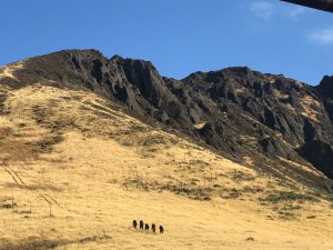 In the Los Padres National Forest, on May 16, 2019, a search and rescue team looks for the wreckage of a plane crash that killed a solo pilot the day before. (Credit: Santa Barbara County Sheriff's Office) 