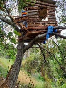 Police arrested an alleged burglar after he was found living in an elaborate tree house in Ganesha Hills in Pomona on May 21, 2019. (Credit: Pomona Police Department)