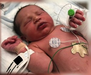 georgia newborn