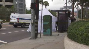 Investigators respond to a bus stop in Harbor City where a man was shot dead on June 20, 2019. (Credit: KTLA)