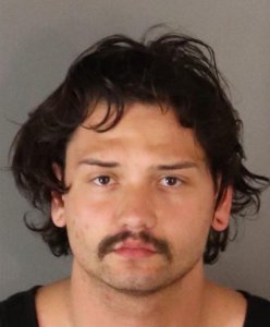 Ronald Vermeulen is seen in a June 13, 2019, booking photo released by the Riverside Police Department.