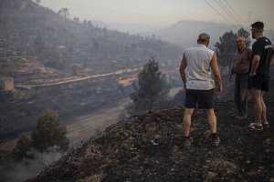 Around 10,000 acres of forest and other vegetation were affected by the fire in northeast Spain. (CNN photo)