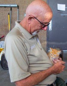 The city of Moreno Valley released this image of one of the rescued cats.