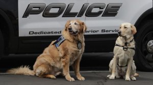 Scottie, left, and Meredith at the funeral services of a Montebello police officer. (Credit: Irfan Khan / Los Angeles Times)