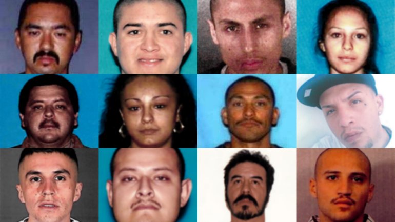 Row 1 (left to right): Saul Aguilar Jr., Manuel Virgen-Galvan, Steven Giovanni Aguilar-Medina, Evelin Martinez; Row 2 (left to right): Carlos Vasquez Serrano, Xochitl (Sochill) Aurora De La Torre, Cesar Villarreal, Cesar Soltero Herrera; Row 3 (left to right): Ricardo Villa, Andres Zambrano, Baldomero Barrientos Banuelos, Carlos Felino Hernandez. (Credit: FBI)