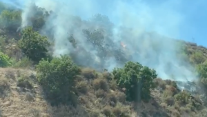 Smoke and flames are seen on the hillside along the 10 Freeway in Covina on Aug. 17, 2019. (Credit: KTLA)