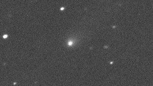 Comet C/2019 Q4, as imaged by the Canada-France-Hawaii Telescope on Hawaii's Big Island on Sept. 10, 2019. (Credit: Canada-France-Hawaii Telescope via NASA/Jet Propulsion Laboratory)