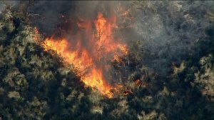 Flames burn through areas of Riverside County near Murrieta on Sept. 4, 2019, in what's been dubbed the Tenaja Fire. (Credit: KTLA)
