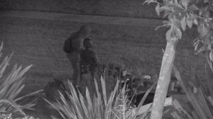 A person is seen in a surveillance still released by the Glendale Police Department on Sept. 17, 2019 vandalizing a peace monument.