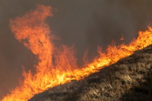 Strong winds drive the Easy Fire on October 30, 2019 near Simi Valley (Credit: by David McNew/Getty Images)