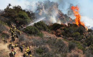 Firefighters work during a wildfire threatening nearby hillside homes in the Pacific Palisades on Oct. 21, 2019. (Credit: Mario Tama / Getty Images)
