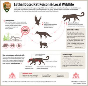 (Credit: National Park Service)