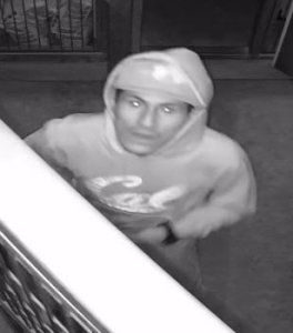 Authorities are seeking the man pictured in this surveillance photos in connection with a burglary at the spcaLA in Los Angeles' West Adams neighborhood on Oct. 9, 2019. (Credit: spcaLA)