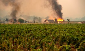 A building is engulfed in flames at a vineyard during the Kincade Fire near Geyserville, California. on Oct. 24, 2019. (Credit: Josh Edelson /AFP via Getty Images)