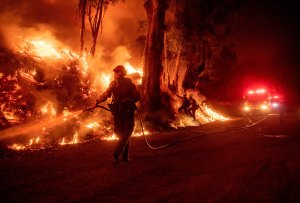 Firefighters work to control flames from a backfire during the Maria Fire near Santa Paula on Nov. 1, 2019. (Credit: JOSH EDELSON/AFP via Getty Images)