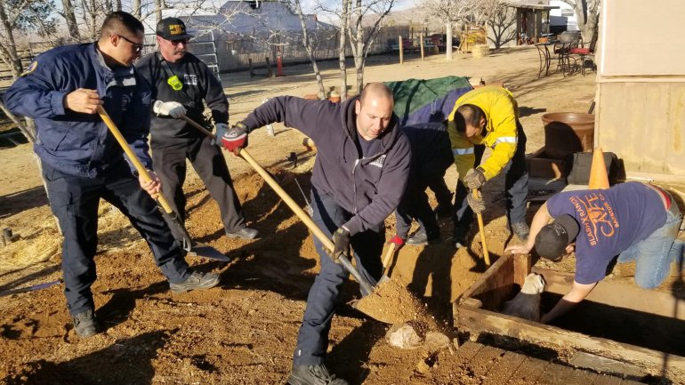 Firefighters rescued a horse trapped in a pit near Barstow on Dec. 27, 2019. (Credit: San Bernardino County Fire Department)