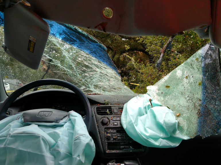 A tree toppled onto a car in La Canada Flintridge on Dec. 23, 2019. The driver escaped unharmed. (Credit: Los Angeles County Sheriff's Department)
