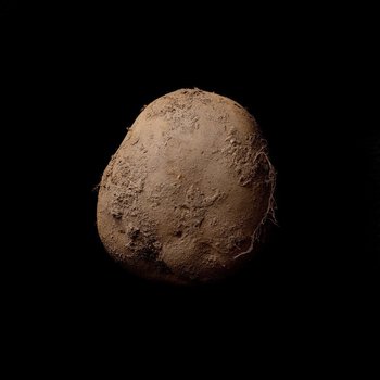 A photogenic potato, at least for renowned celebrity photographer Kevin Abosch. His "Potato #345" -- a simple portrait of an organic Irish spud -- reportedly sold for 1 million ($1.08 million) last year to a European businessman, who saw it while dining at Abosch's Paris home.