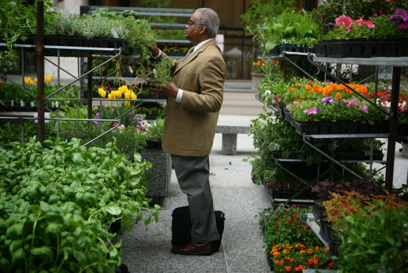 Joseph Randle stops on his way to work to shop for herbs as the first Chicago Farmers Market opens in Daley Plaza, May 12, 2011. (E. Jason Wambsgans/ Chicago Tribune/MCT via Getty Images)