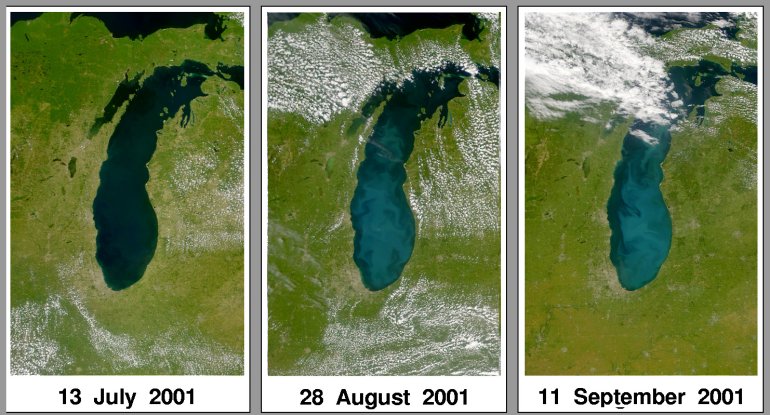 What's the dark stuff in Lake Michigan off the coast of Chicago