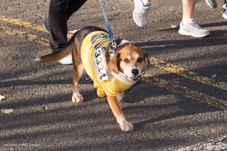 Alex Lemonade stand Lemon Run 100715-November 08, 2015-041