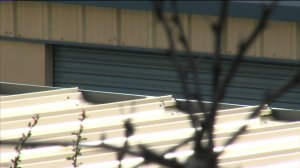 Authorities find two small bodies; detectives interview a woman thought to be the mother.