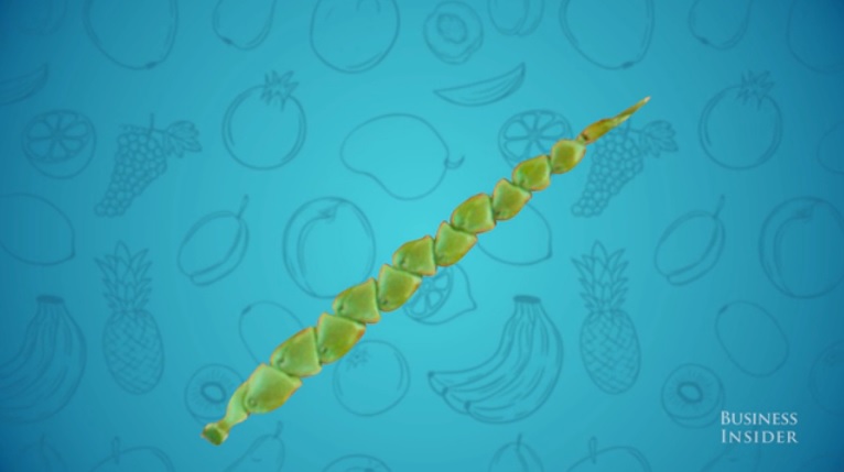 Wild Corn - Credit: Business Insider