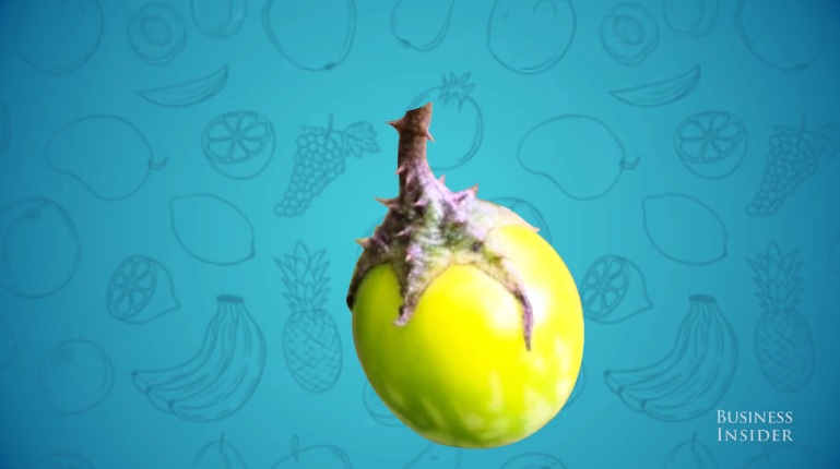 Wild Eggplant Credit: Business Insider