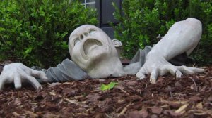 Claude the Zombie appears to have "clawed" his way out of Jim Grinstead's garden.