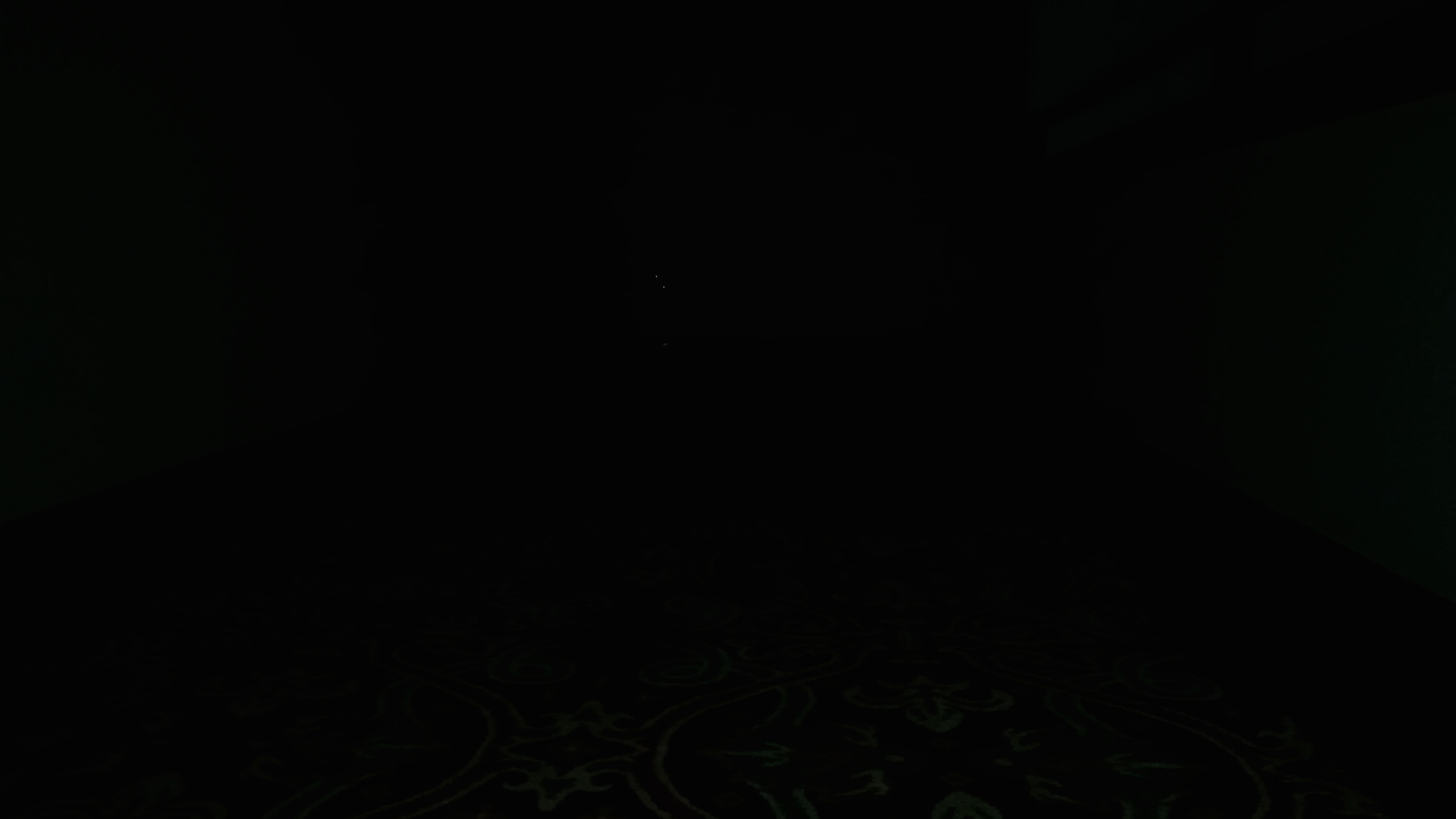 A shadow seems to blot out the flash in this photo, and two white dots can be seen at the end of the hall (Photo: Tim Roberts)