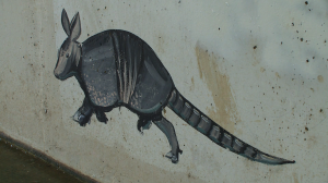 The armadillo painted in the tunnel beneath Bear Creek Parkway in Keller.